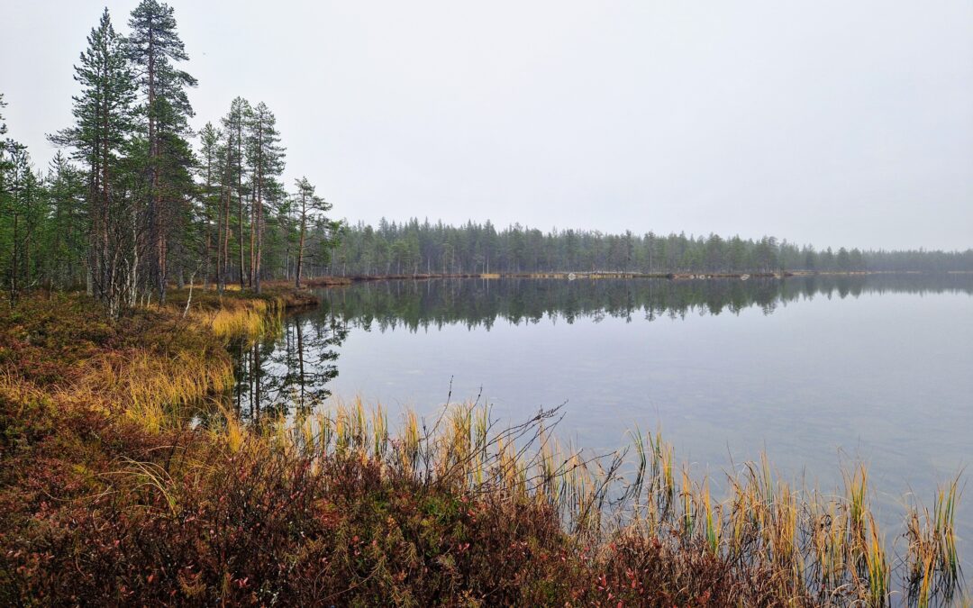 Hyvä mielenterveys ei tarkoita sitä, että aina pitäisi voida hyvin